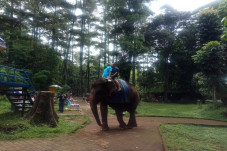 3 Kawasan Bandung Raya...