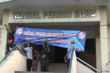 1 Pedagang Buah Positif...