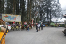 Wisata Berastagi Masih...