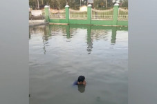 Maling Apes, Direndam...