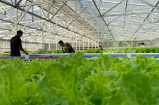 Hebat, Anak Bangsa Ciptakan...