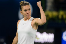Halep: Melawan Hercog...