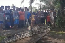 Rusak Jaring Nelayan,...