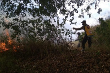 Lereng Gunung Ciremai...