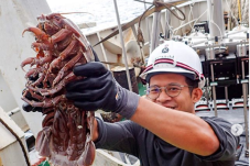 Kenalkan, Ini Bathynomus...
