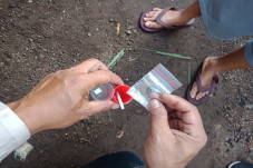 Bawa Sabu, Wanita Seksi...