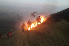 Gunung Penangungan Terbakar,...