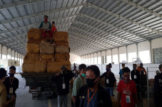 Petani Tembakau di Rembang...