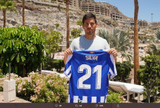 Ada David Silva, Sociedad...