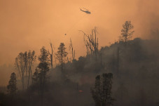 Kebakaran Hutan, California...