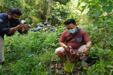 Warga Temukan Bunga...