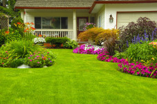 Tips Renovasi Rumah,...