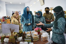 Ketua TP PKK Novita...