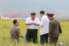Kritik Ekonomi Kim Jong-un,...