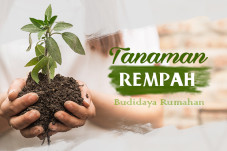 10 Rempah-rempah Ini...