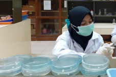 Mahasiswa UNY Teliti...