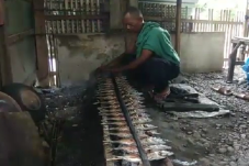 Pandemi COVID-19, Ikan...