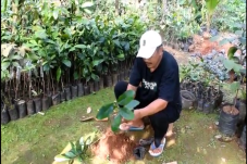 Tak Ingin Punah, Warga...