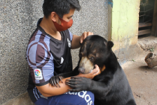 Phadil dan Gaston, Kisah...