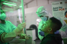 284 Spesimen dari Swab...