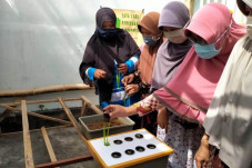 Budidaya Sayur Hidroponik,...