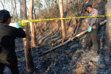 Bakar Sampah, Kakek...