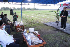 Menteri Pertanian Dorong...