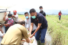 Panen Padi Bersama Petani...
