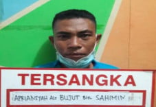 Setubuhi Anak di Bawah...
