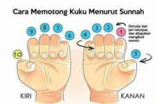 Cara Memotong Kuku Menurut...