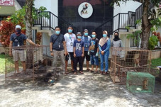 Pelihara Elang Jawa...