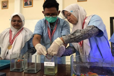 Sulap Kecubung Jadi...
