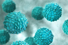 Wabah Norovirus Menyerang...