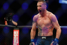 Gaethje ke Khabib: Pertaruhan...