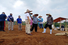 Progres Program Padat...