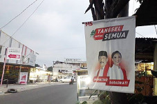 Musim Kampanye, Pohon...