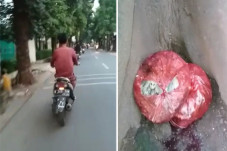 Pembuang Bangkai Anjing...