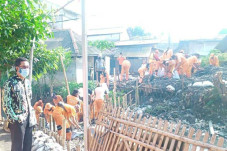 Antisipasi Banjir, Ratusan...