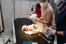 Bayi Laki-laki Ini Dibuang...