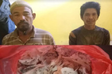 Asyik Manen Sarang Burung...