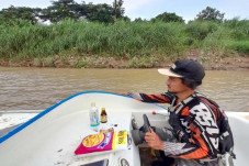 Puluhan Buaya Lepas...