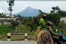 Merapi Status Siaga,...