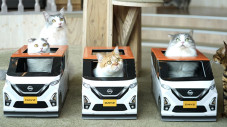 Imut Banget, Nissan...