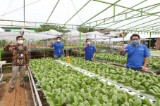 XL Smart Hydroponics,...