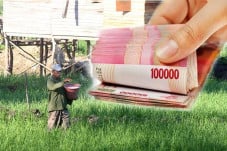 Pemerintah Perkuat Pendampingan...