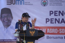 Pemerintah Desa Wajib...