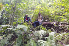 Macan Kumbang Diduga...