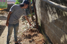 Kucing Ditembak Mati...