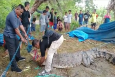 Gempar Buaya Raksasa...