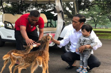 Jokowi Ajak Jan Ethes...